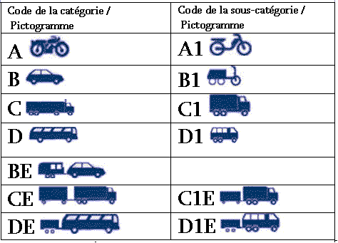 ՎԿԱՅԱԿԱՆԻ ՇԱՊԻԿԻ ՎԵՐՋԻՆ ՆԵՐՍԻ ԵՐԵՍ